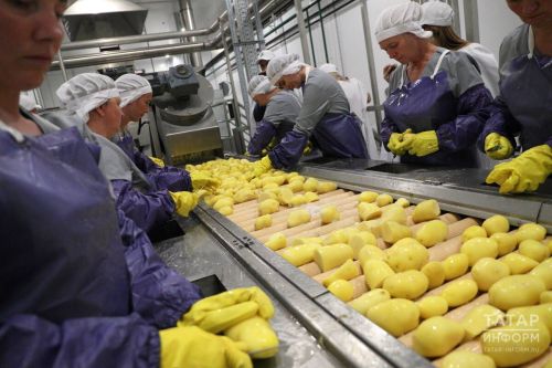 В России с 1 апреля вводят ГОСТ на картофельные чипсы