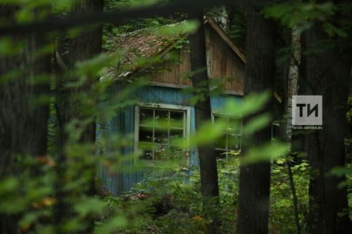 Питрәч дачникларын мошенниклыкның яңа схемасы турында кисәтәләр