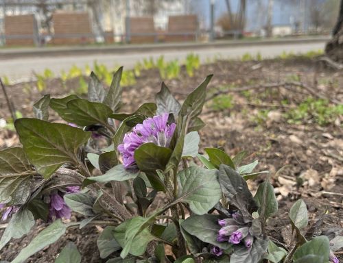 В Пестречинском районе ожидается до +26 градусов
