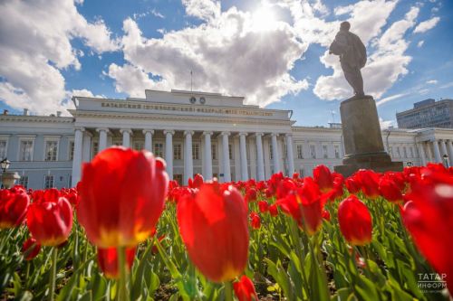 Прием заявлений на бюджет в вузы завершится 25 июля