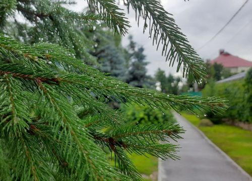 В Татарстане жара сменится дождями и похолоданием