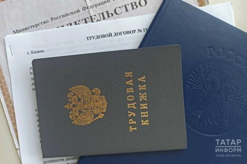 В России появится новый вид трудовой деятельности
