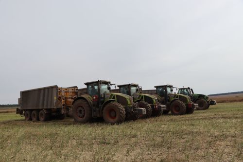 «Август-Тюлячи» завершает уборку рапса в Пестречинском районе