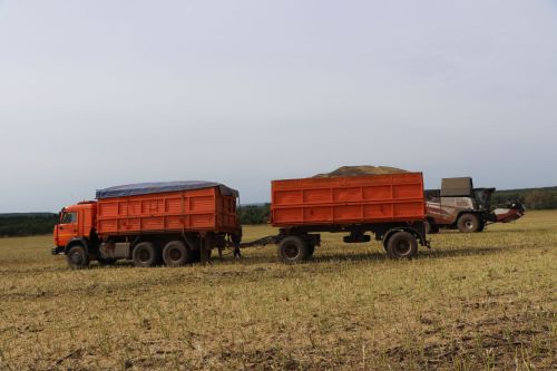 «Август-Тюлячи» завершает уборку рапса в Пестречинском районе