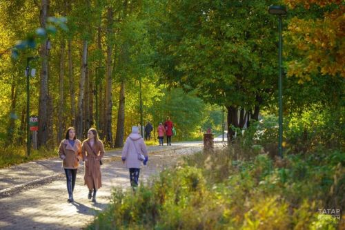 В Пестречинском районе 20 сентября сохранится тёплая и сухая погода