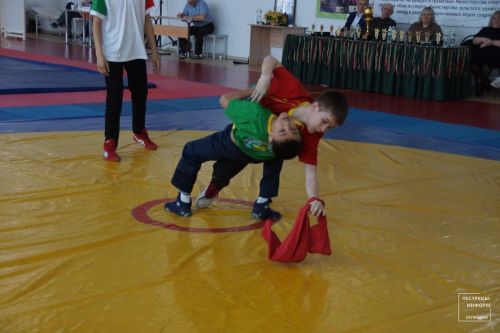 Турнир по национальной борьбе памяти Ильшата Шафигуллина