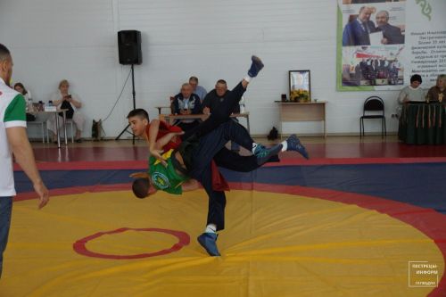 Турнир по национальной борьбе памяти Ильшата Шафигуллина