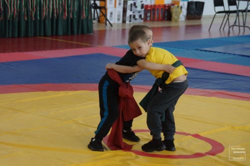 Турнир по национальной борьбе памяти Ильшата Шафигуллина