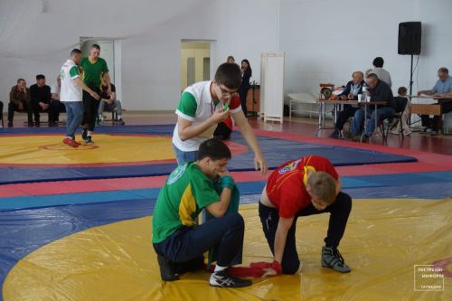 Турнир по национальной борьбе памяти Ильшата Шафигуллина
