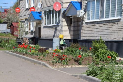 «Безнең ишегалды» республика программасы