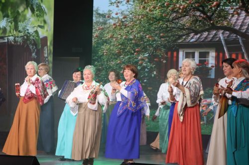 День пожилых людей в Пестрецах