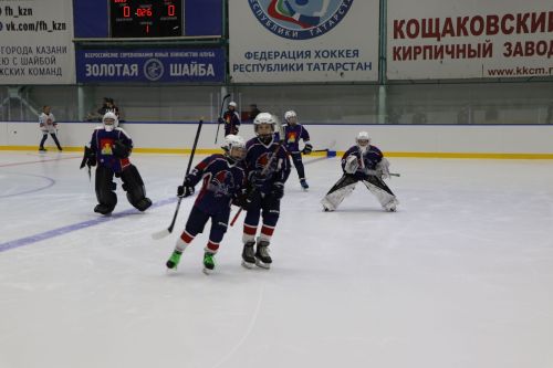 Окрытие ледового дворца после ремонта