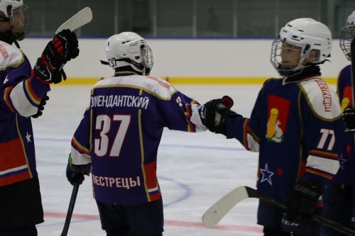Окрытие ледового дворца после ремонта