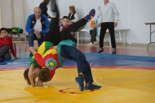 Турнир по национальной борьбе