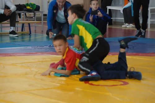 Турнир по национальной борьбе