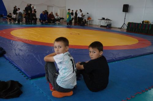 Турнир по национальной борьбе