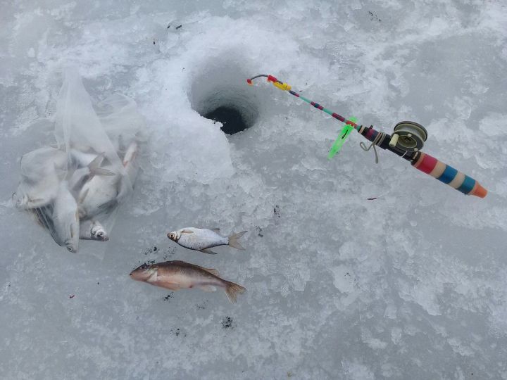В Татарстане спасатели ищут шестерых рыбаков, снегоход которых провалился под лед