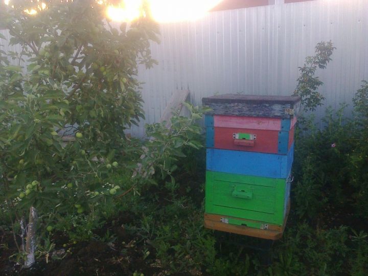 “Үлсәм үләм, калсам калам”