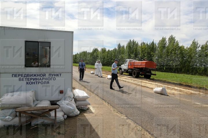 В Республике Татарстан сняли карантин по птичьему гриппу