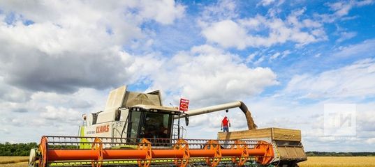 В Татарстане обмолочено более 1 млн га площадей