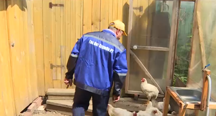 В Татарстане идет работа по профилактике птичьего гриппа