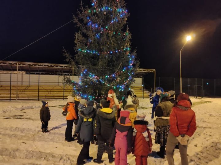 Во всех сельских поселениях прошло открытие елки