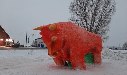 Самую большую снежную фигуру в Татарстане слепили в Зеленодольске