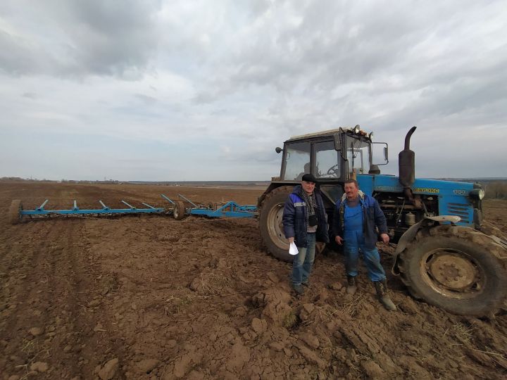 Быел язгы кыр эшләренә гадәттәгедән иртәрәк тотындылар