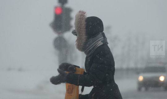 Пестречинцев предупреждают о метели и снежных заносах