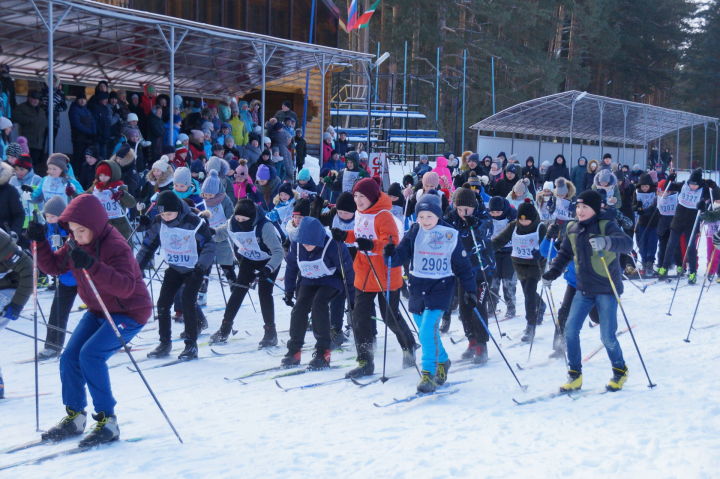 В пестречинском сосновом бору состоится лыжный забег «Лыжня России»