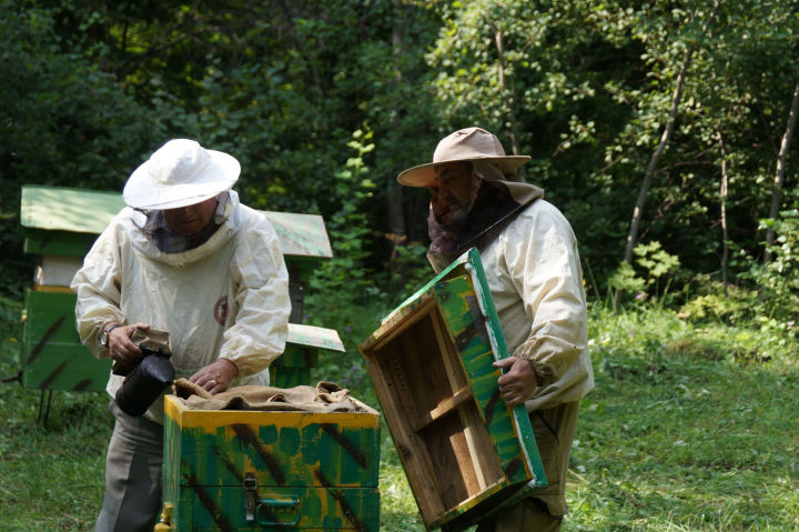 Пестречинские пчеловоды собирают урожай