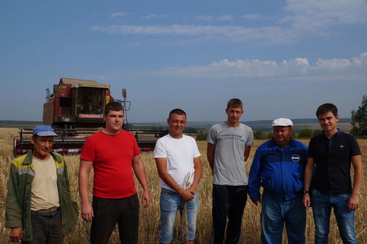 В пестречинском хозяйстве «Агролак-К» завершили уборочную страду