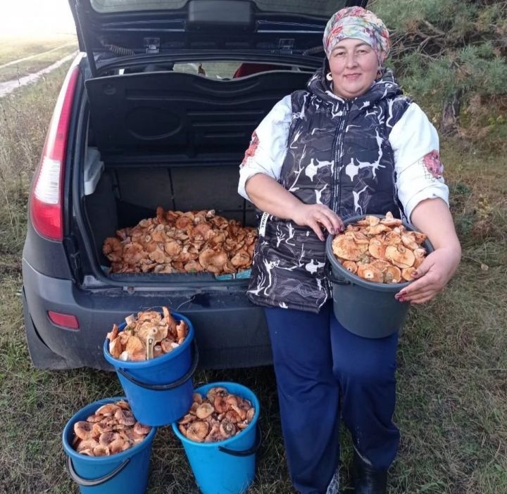 Опытный грибник Нафира Игламова: «На сборе грибов заработала 160 тысяч рублей»