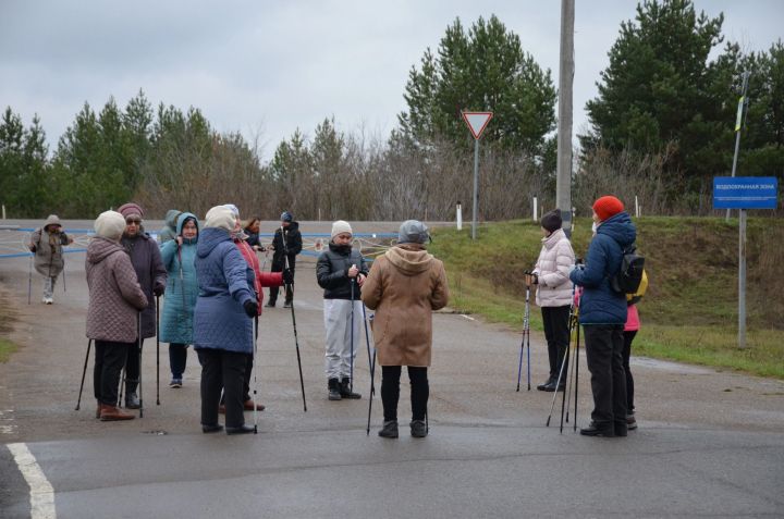 Пестречинцы позанимались скандинавской ходьбой в сосновом бору