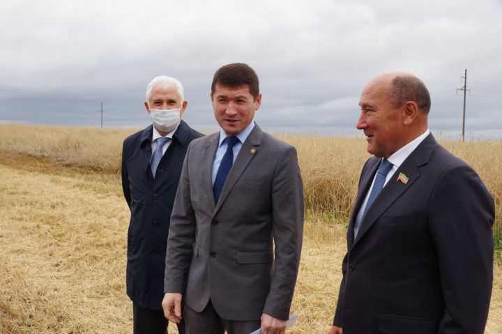 Ильхам Кашапов поздравил работников сельского хозяйства с профессиональным праздником