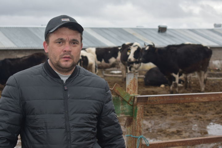Владелец пестречинского КФХ Алмаз Фасхутдинов содержит и коров, и птиц