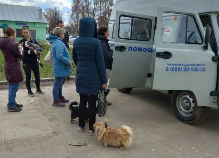 В Пестречинском районе продолжается бесплатная вакцинация собак и кошек от бешенства