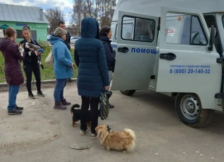 Питрәч ветеринария хезмәте эт һәм мәчеләргә котыру авыруына каршы бушлай вакцинация үткәрә