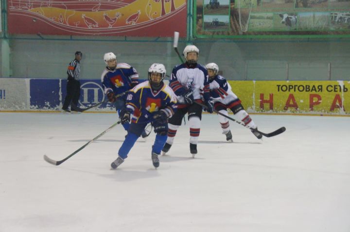 В "Пестрецы-Арене" завершился открытый предсезонный турнир по хоккею