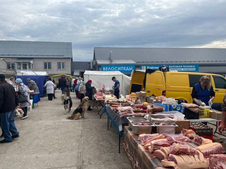 В Пестрецах начались традиционные сельхозярмарки