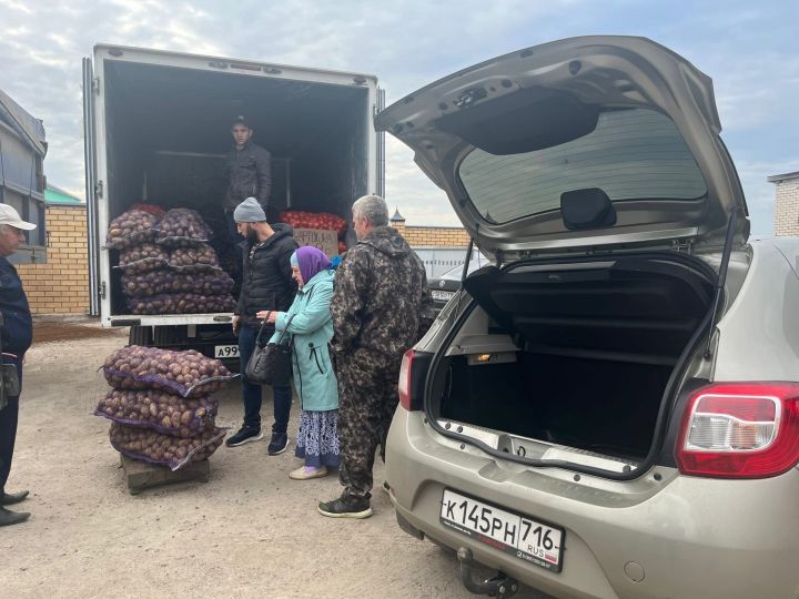 В Пестрецах начались традиционные сельхозярмарки