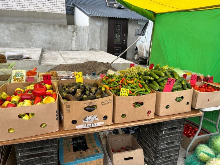 В Пестрецах начались традиционные сельхозярмарки