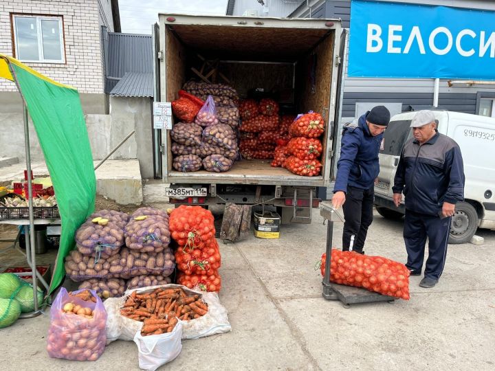 В Пестрецах начались традиционные сельхозярмарки