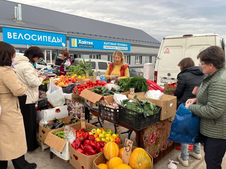 В Пестрецах начались традиционные сельхозярмарки