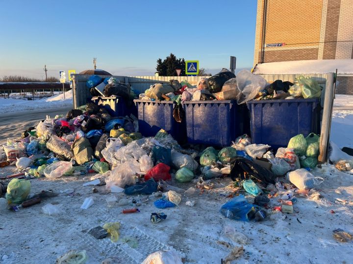 В Пестречинском районе проблемы с мусором будут разрешены в течении недели