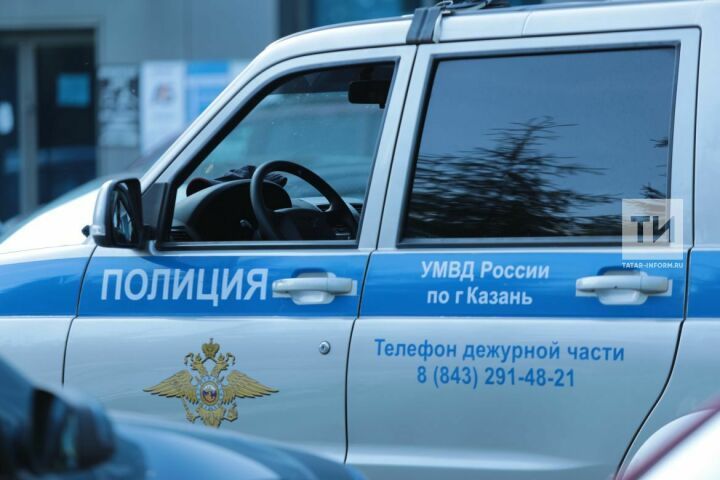 Задержан мужчина, который убил нескольких щенков в Пестречинском районе