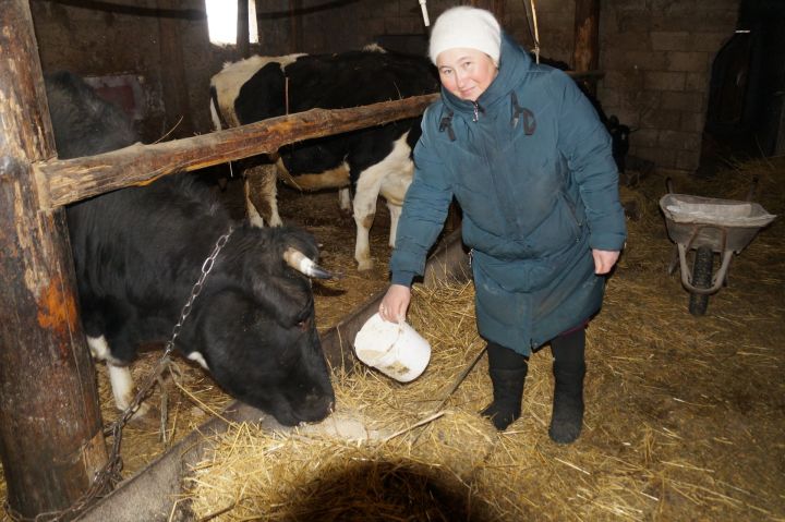 У семьи Каримовых из села Шали на столе своя молочная продукция и неплохой доход