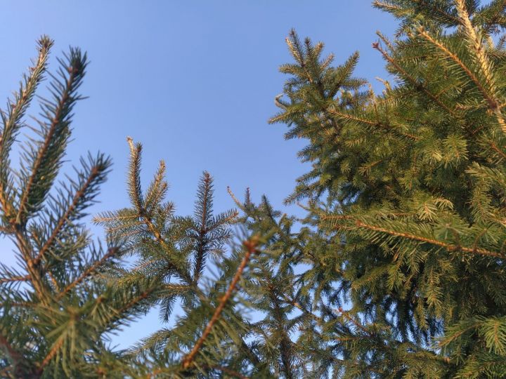 В Татарстане ожидается похолодание в ближайшие дни