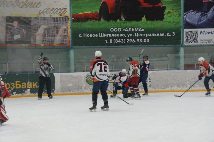 Команда «Пестрецы» в чемпионате ПЛХЛ провела очередную игру
