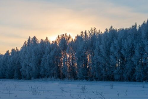 Туман, изморозь и до −22 градусов ожидаются в Татарстане во вторник
